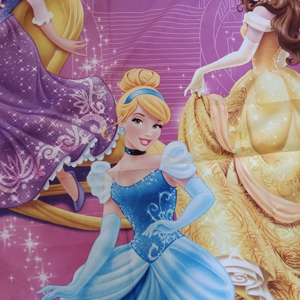 💕WINDOWS PANELS💕DISNEY PRINCESS💕 - Picture 3 of 8
